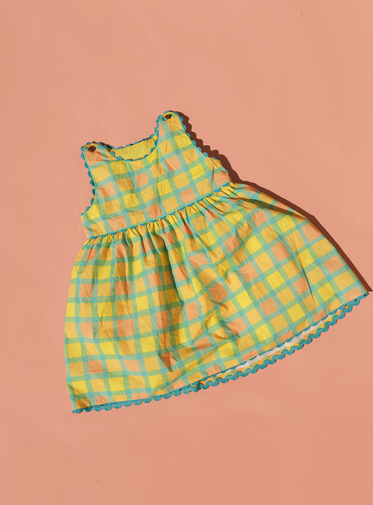 Checkered Picnic Dress